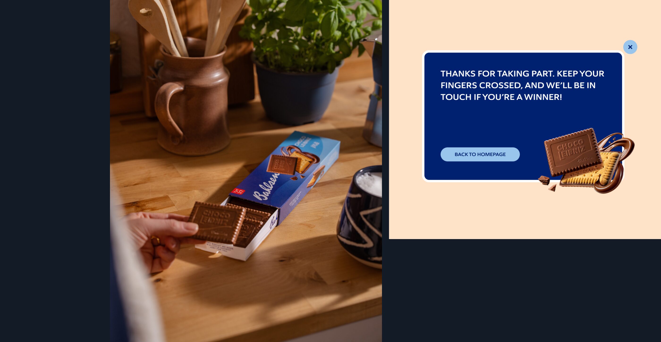 Bahlsen Submission Entry Message Component v2