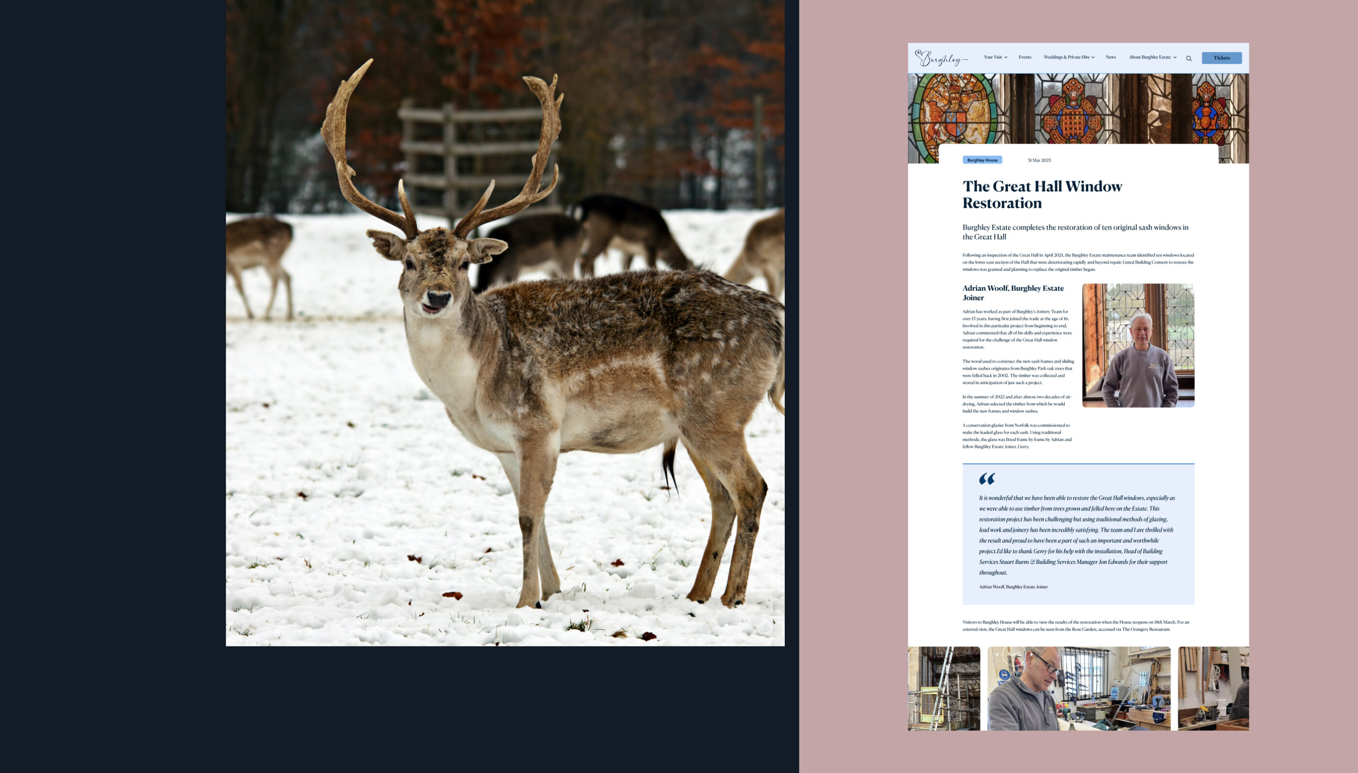 Burghley House news article alongside deer in snow
