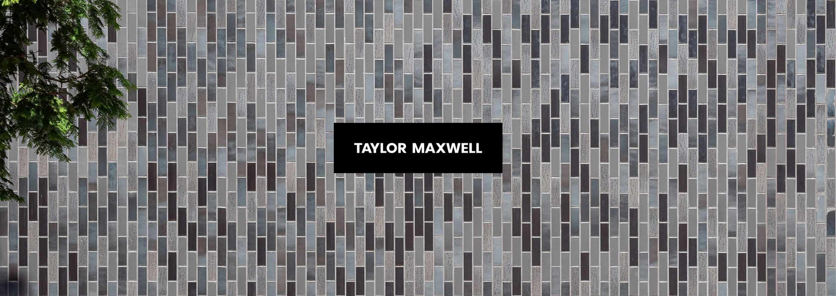 Taylor Maxwell Hero Desktop